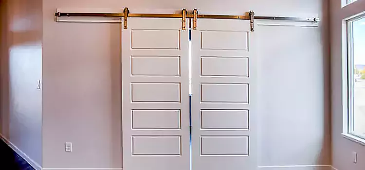 Glass Barn Door with Installation Hardware Kit Hagerstown