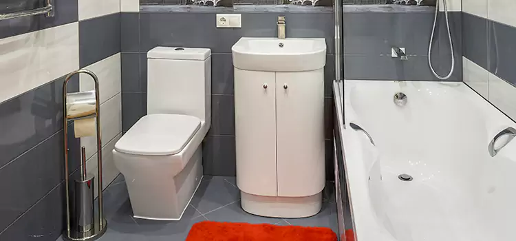 Hansgrohe Shaving Mirror Hagerstown